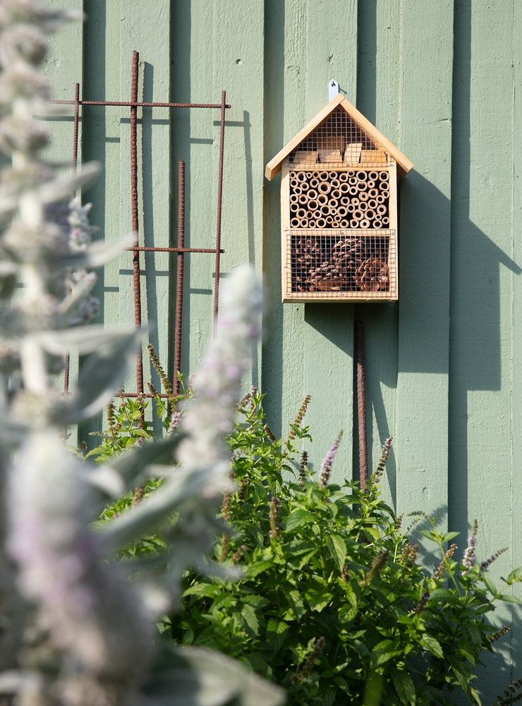 Grön vägg med insektshotell