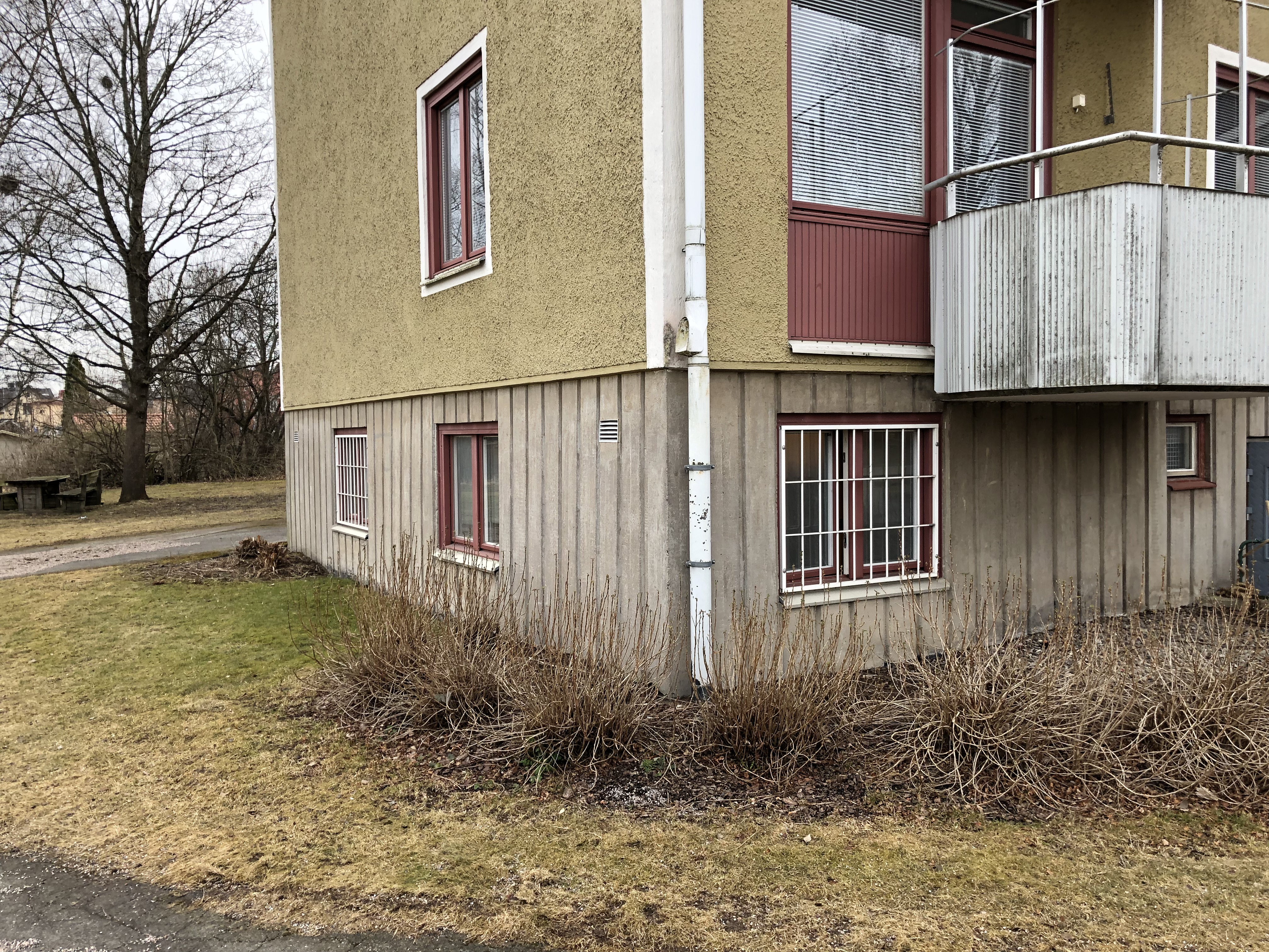 Källarlokalens fönster ligger i markplan på fastigheten